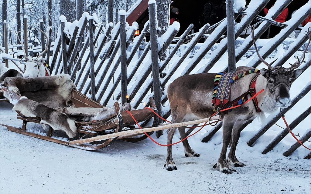 Laponsko, Finsko, Santa, Santova vesnička, cestování, dovolená, zima, výlet